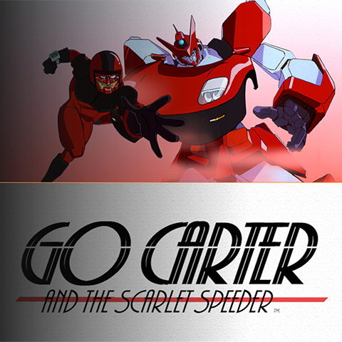 Home gocarter 480card v2